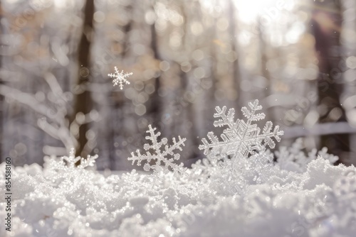 A close-up view of intricate snowflakes gently falling on a snowy surface in a winter forest