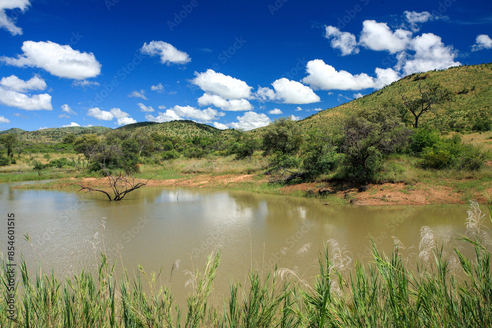 Kgalagadi Transfrontier Park one of the great parks of South Africa wildlife and hospitality in the Kalahari desert Kgalagadi Transfrontier Park one of the great parks of South Africa wildlife and hospitality in the Kalahari desert