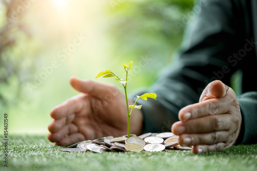 Concept of green finance flourishing businesses invest money and coins into sustainable ventures, nurturing growth of nature-friendly projects and ensuring prosperous future. green finance growth.