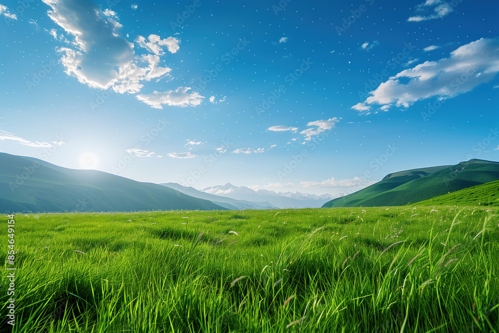 Fototapeta premium Beautiful green grassland with a beautiful sky with star in the background