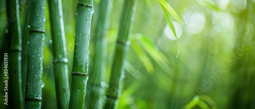 Close-up of vibrant green bamboo stalks with leaves in a serene and lush natural setting, bokeh background creating a soft, peaceful atmosphere.