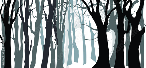 The graphic graphic of the mysterious forest.