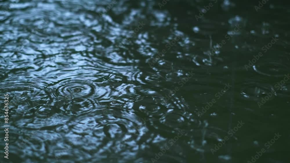 Drops of rain fall into a puddle, heavy street rain, advertising tires that provide excellent grip on wet roads or coatings for cars that protect against corrosion. Drops of rain fall into a puddle, heavy street rain, advertising tires that provide excellent grip on wet roads or coatings for cars that protect against corrosion.