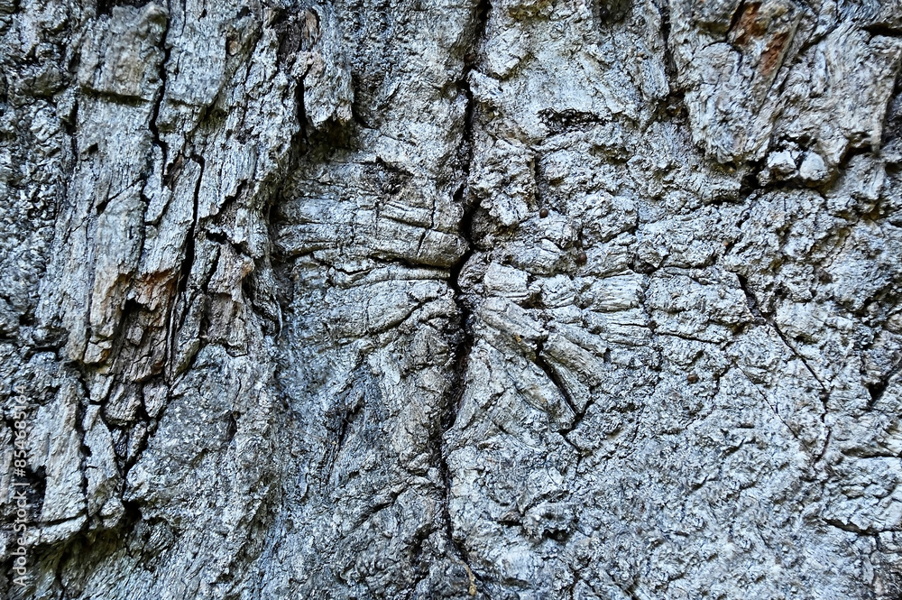 Cracked wooden background