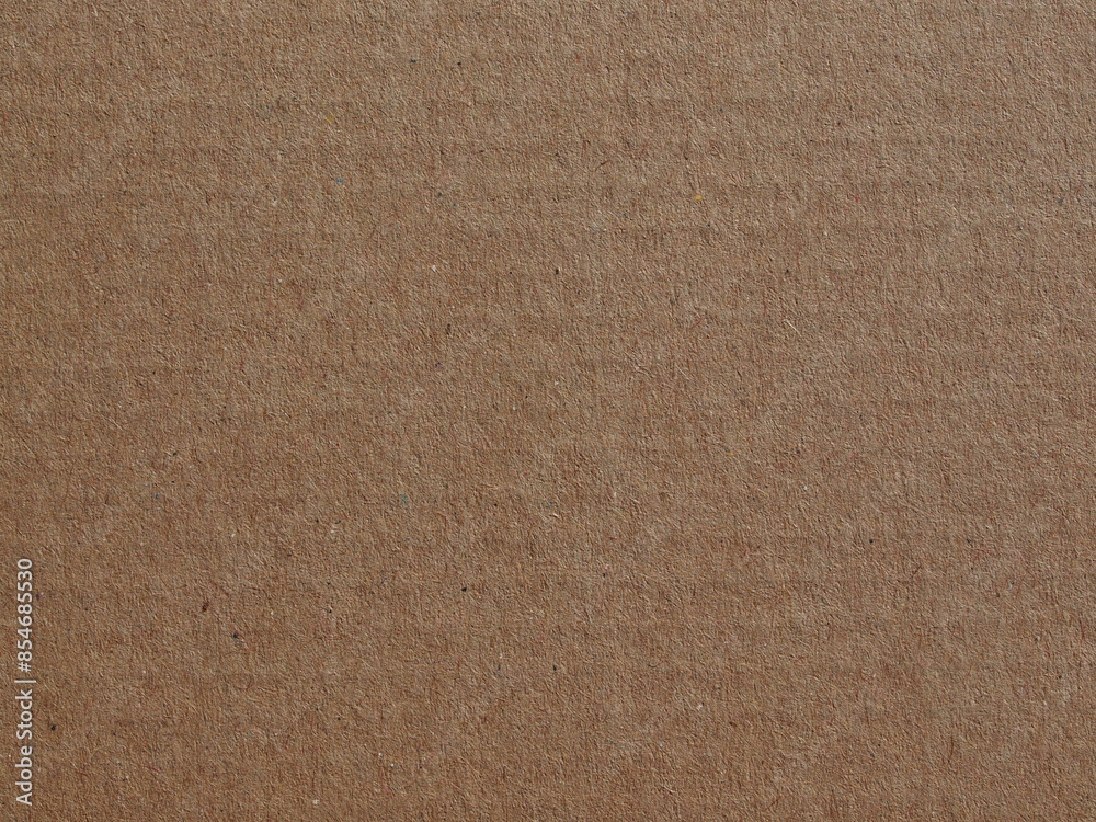 Fototapeta premium corrugated cardboard blank sheet