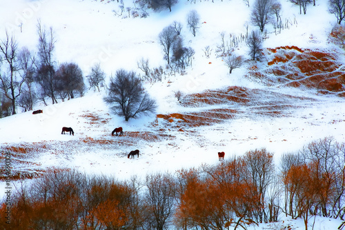 Snow Scenery of Guanshan Ranch in Shaanxi Province photo