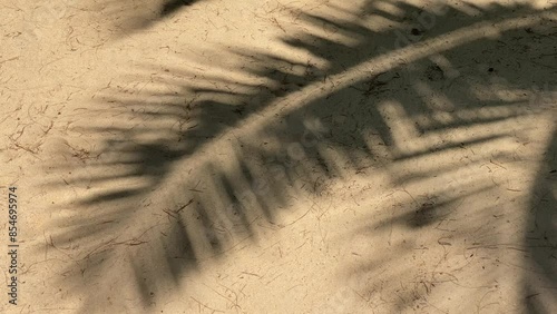 Shadows of palm tree on sand during sunny day