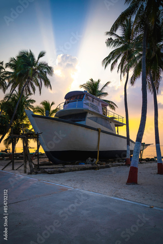 tropical beach with palm trees, Lakshadweep Island, India