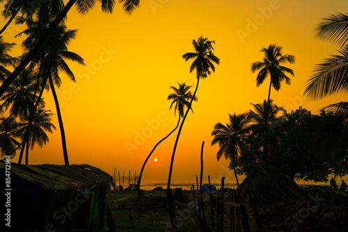 Lakshadweep coral Island, India