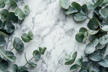 top view elegant border frame with eucalyptus branches with leaves on marble background with copy space