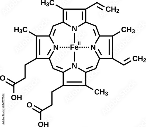 Heme structural formula, vector illustration