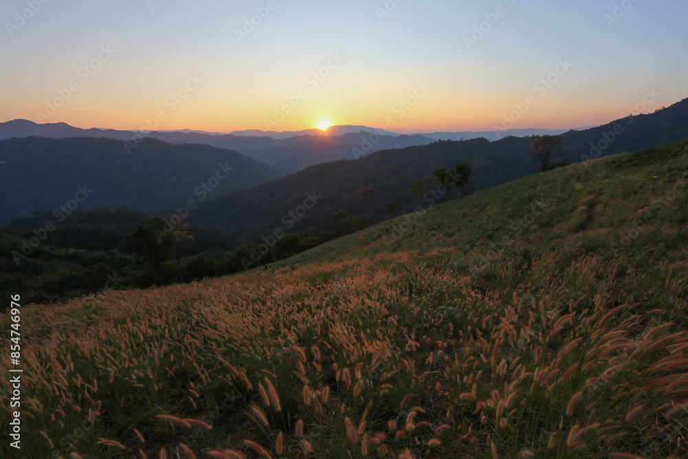 Obraz premium complex mountain landscape, trees Ready for the sunset Beautiful evening Mountain meadow at sunset There is space for text.