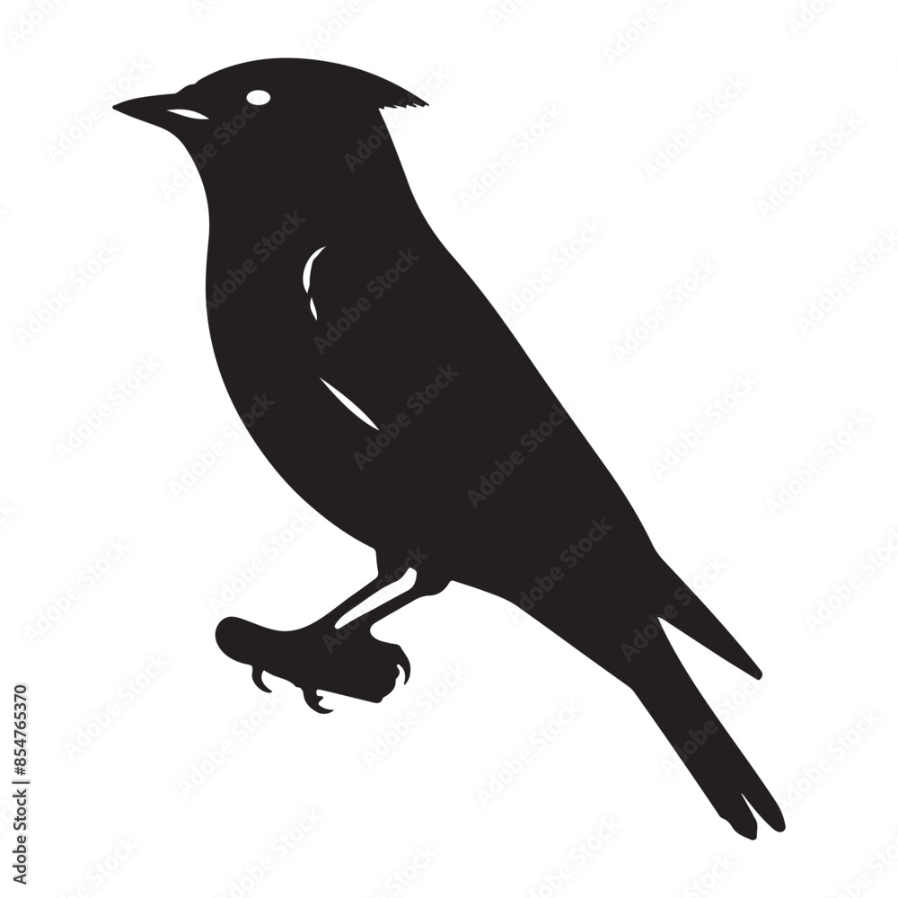 Obraz premium vector silhouette cedar waxwing design, colorful bird illustration, nature and wildlife graphics