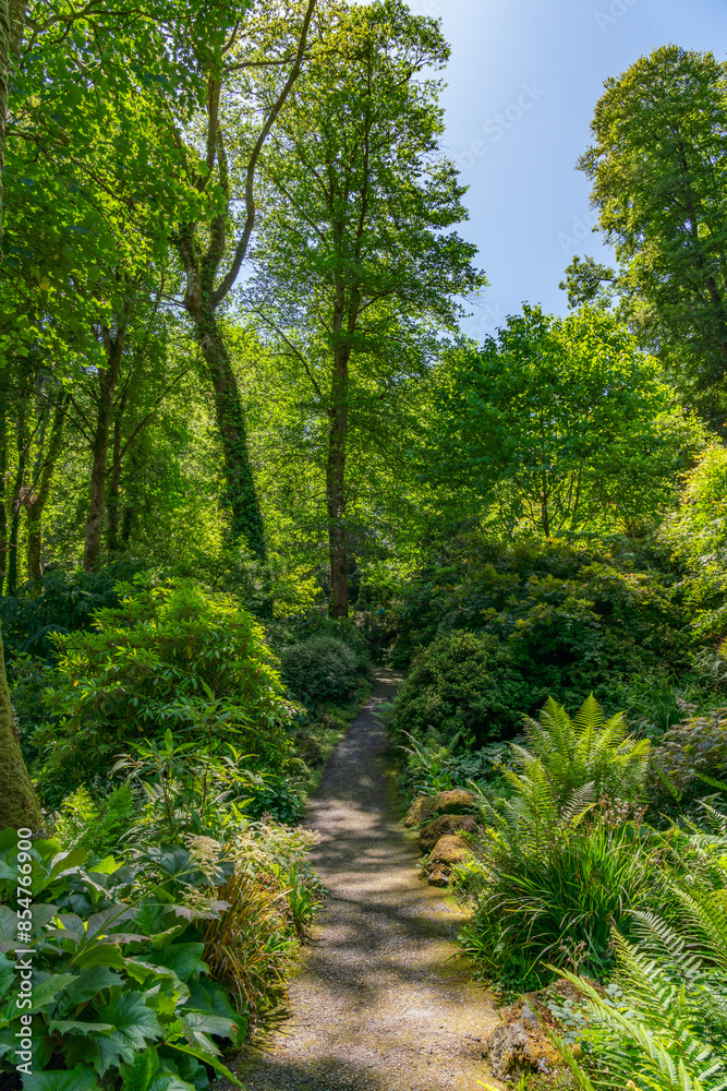 Fototapeta premium views around the Hidden gardens of ANglesey