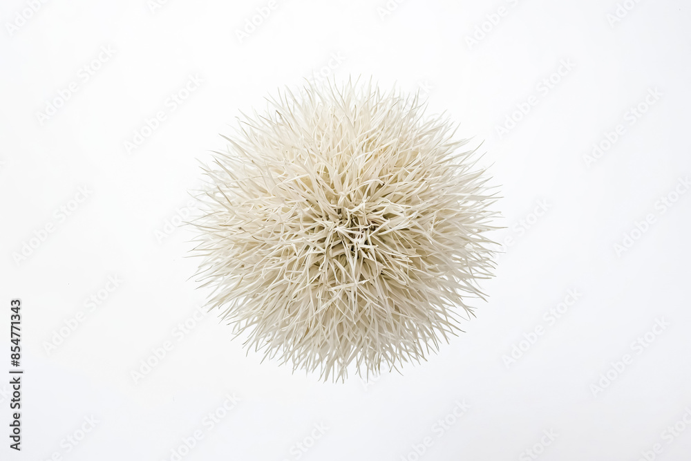 Abstract White Spiky Ball Abstract White Spiky Ball
