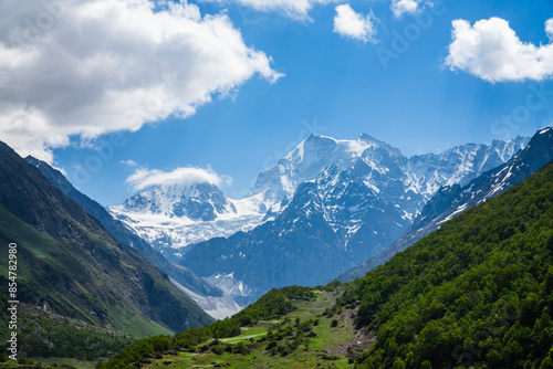 Valley of Flowers, Mountain Scapes of Himalayas in Chamoli Uttarakhand India photo