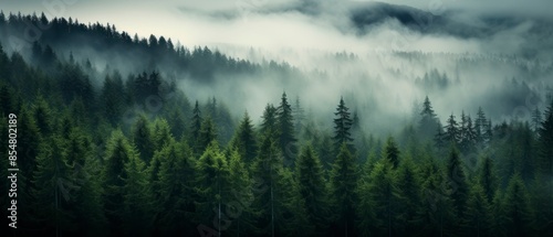 Panoramic view of foggy forest in the mountains at sunrise photo
