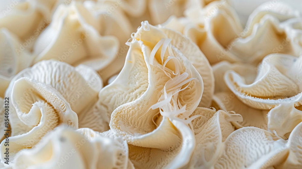 A macro shot of snow fungus, showcasing its intricate, ruffled texture and soft, white color A macro shot of snow fungus, showcasing its intricate, ruffled texture and soft, white color