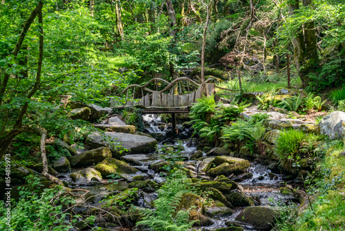 the circular walk around Llanberis lake , Snowdonia