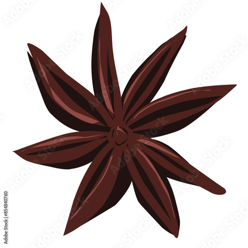 Star anise Illustration 