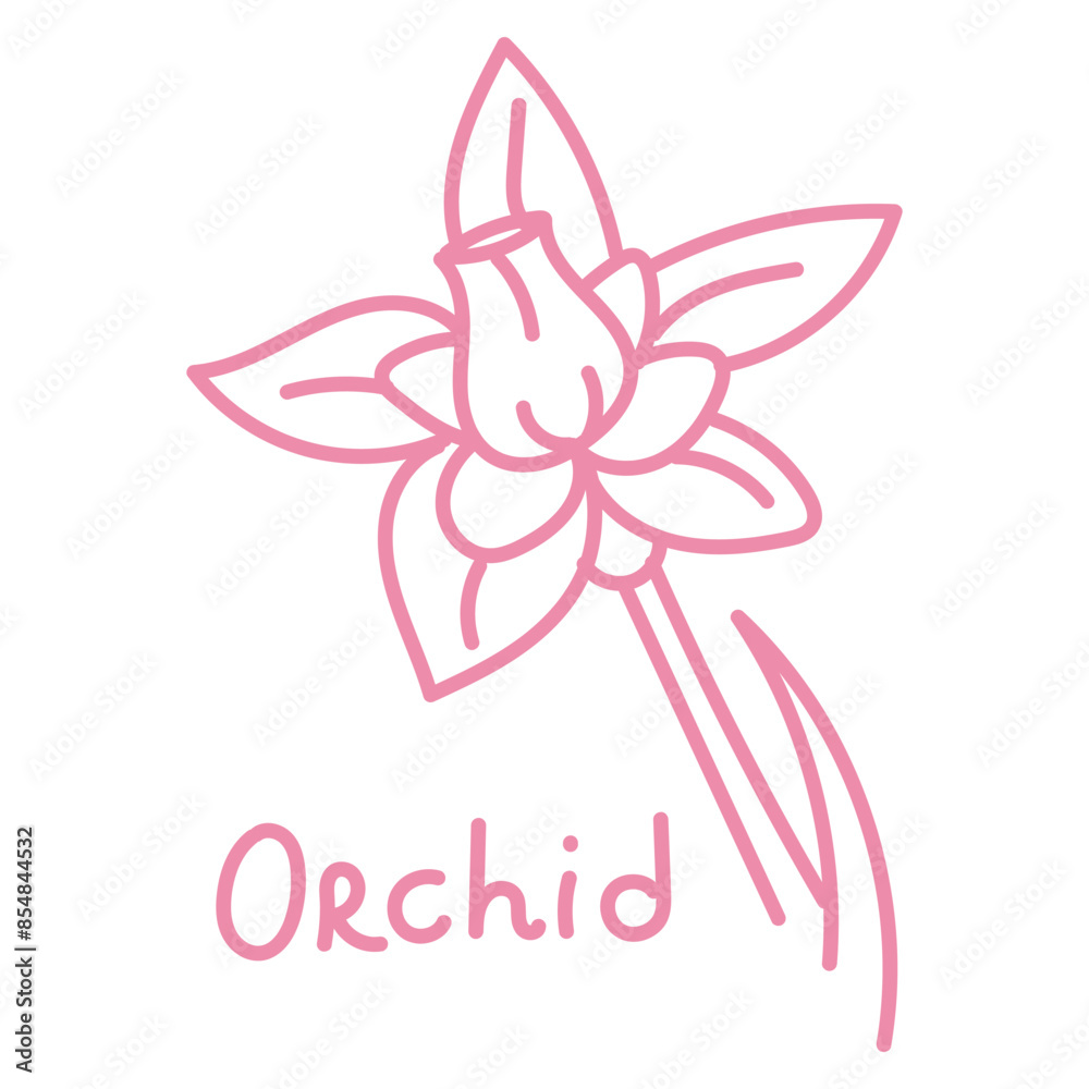 Doodle illustration in the form of a pink orchid with a cute name. Isolated hand-drawn drawing with a wide line. shades of pink on white. Romantic silhouette for a holiday on postcards for a wedding Doodle illustration in the form of a pink orchid with a cute name. Isolated hand-drawn drawing with a wide line. shades of pink on white. Romantic silhouette for a holiday on postcards for a wedding