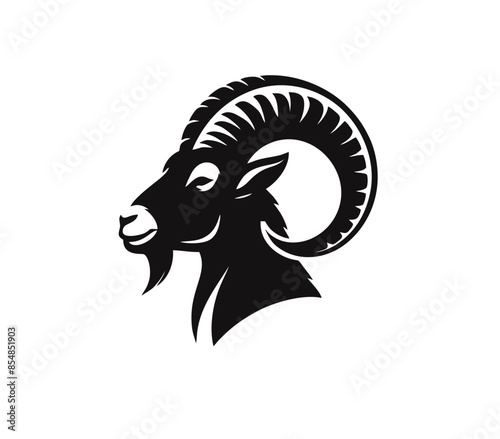illustration of a sheep