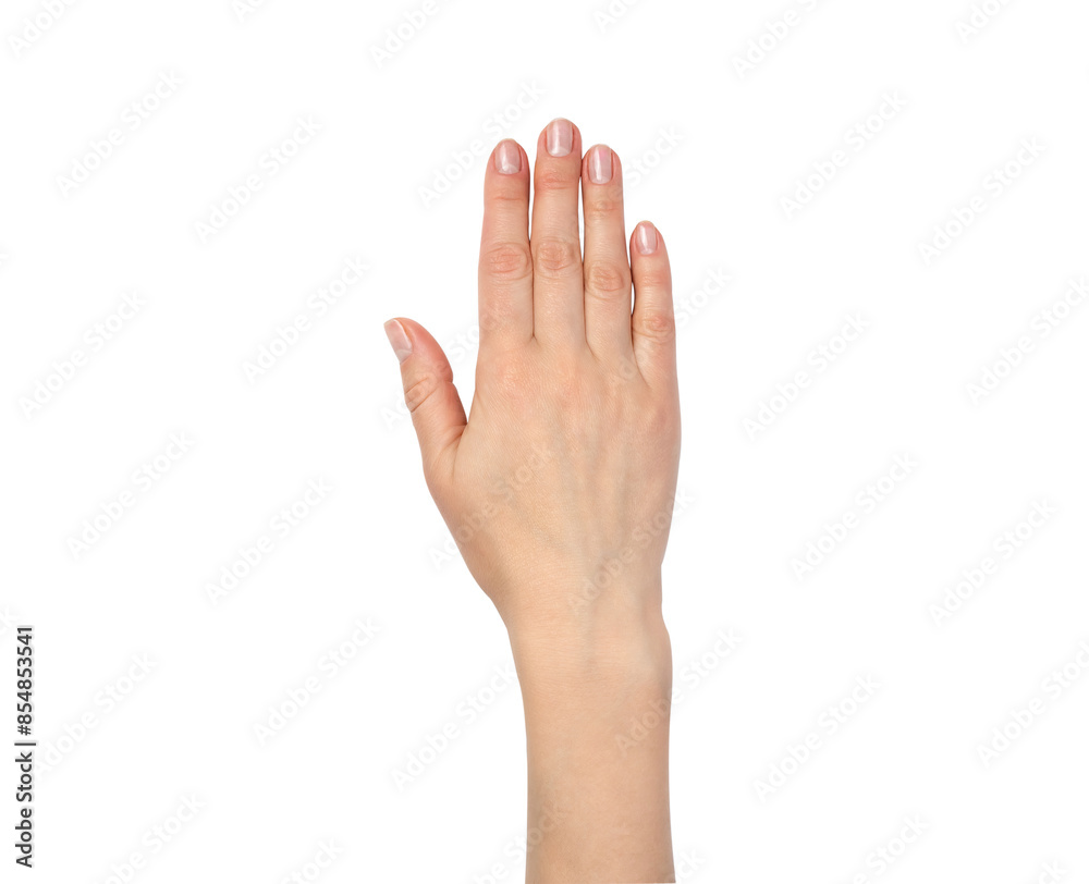 Tender female hand with neutral manicure isolated on white background. Tender female hand with neutral manicure isolated on white background.