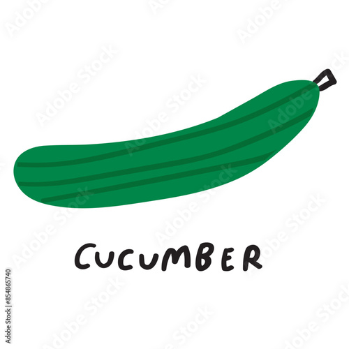 Cucumber. Vegetable. Hand drawn vector design. Illustration on white background.