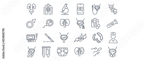 Set of line icons urology clinic. Kidneys, bladder,catheter, cystoscope, hormones, testosterone, impotence, spermogram, prostatitis, surgery, bacteria, urologist, urinary incontinence, fertilization