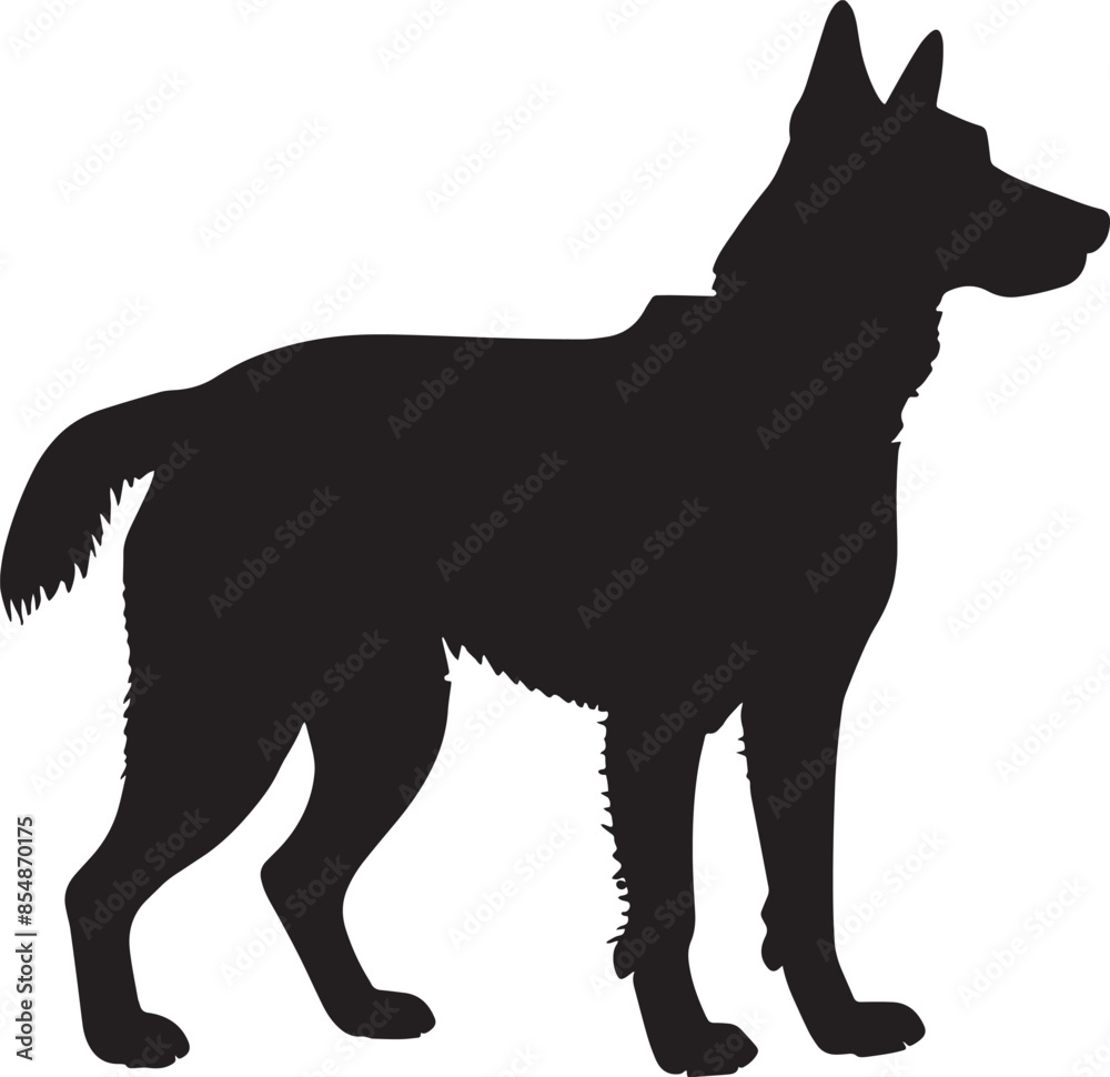 Obraz premium black and white dog.