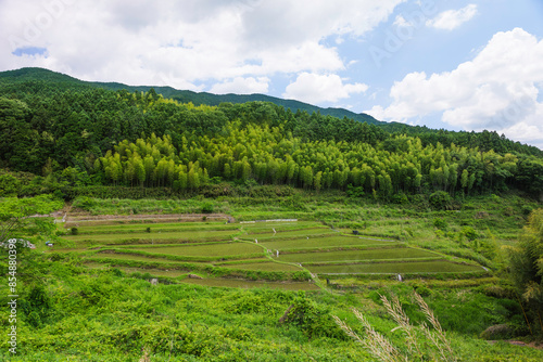Agricultural scene in a terraced rice field. Rural villages and rice paddies in Asia.