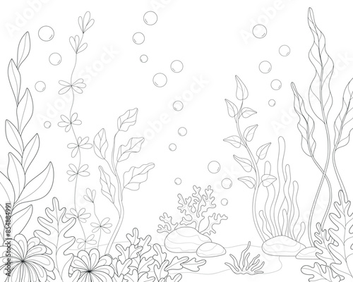 At the bottom of the ocean. Sandy bottom, stones and seaweed. Coloring.