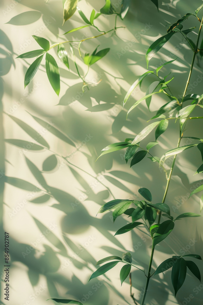 Abstract gray shadow background of natural bamboo leaves branch Abstract gray shadow background of natural bamboo leaves branch