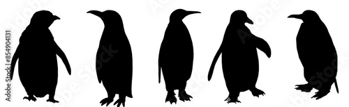 silhouette of a penguin