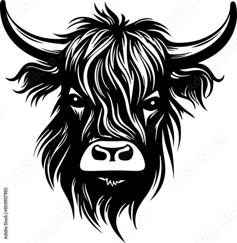 scottish highland cow vector transparent background PNG clipart