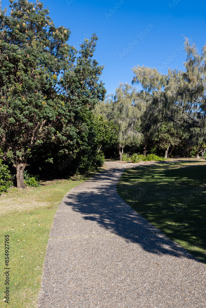 Fototapeta premium An empty footpath in the bushwalk.