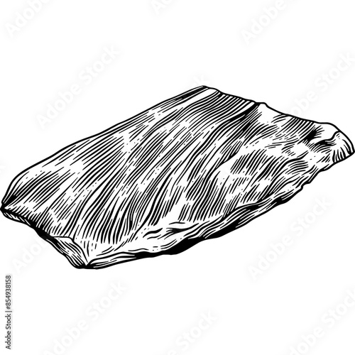 Hand drawn Flank Steak Beef Meat Sketch Illustration