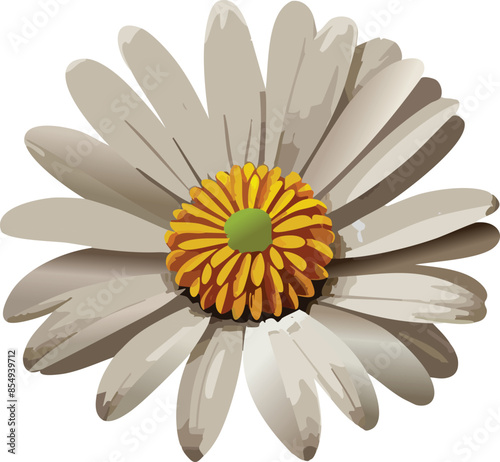 vector daisy icon