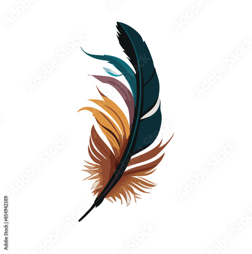 colorful feather vector