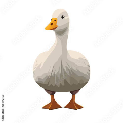 goose vector illustration