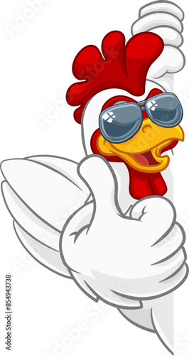 A chicken rooster cockerel bird cartoon character in cool shades or sunglasses peeking around a sign and giving a thumbs up