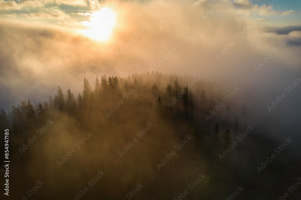 Flight over fog in Ukrainian Carpathians in summer. A thick layer of fog covers the mountains with a continuous carpet. Aerial drone view. Flight over fog in Ukrainian Carpathians in summer. A thick layer of fog covers the mountains with a continuous carpet. Aerial drone view.