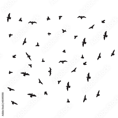 flock of flying birds