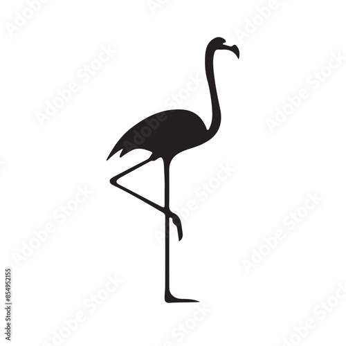 flamingo isolated on white background