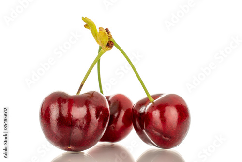 Three sweet cherry berries, macro, isolated on white background.
