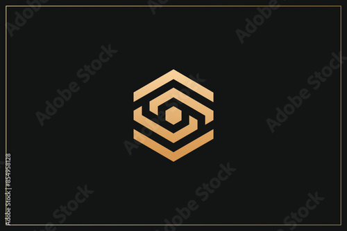 Hexagon Digital Multimedia Brand Logo