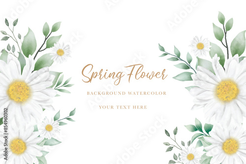 Hand drawn watercolor daisy flower background design