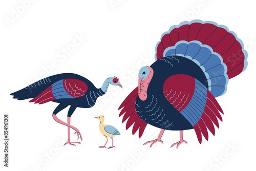 Turkey male and female birds family. Domestic farm turkey mother, father and baby.