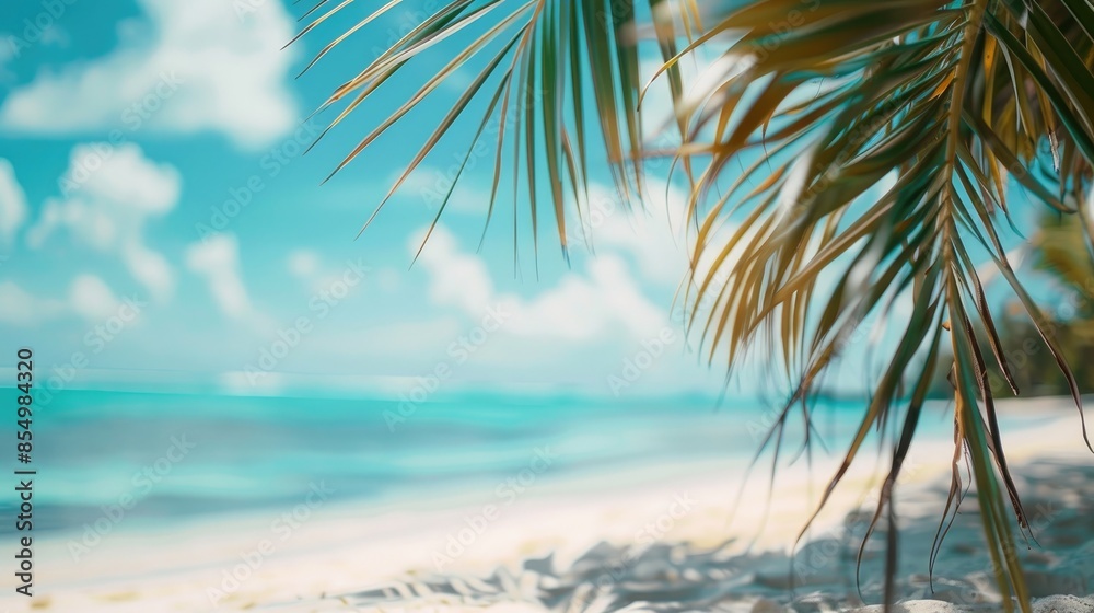  Beautiful tropical background with palm leaves and sand, closeup. Summer mock-up for presentation