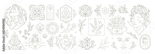 Beautiful flowers collection with botanical plants and leaves. Decorative line art flower emblems.